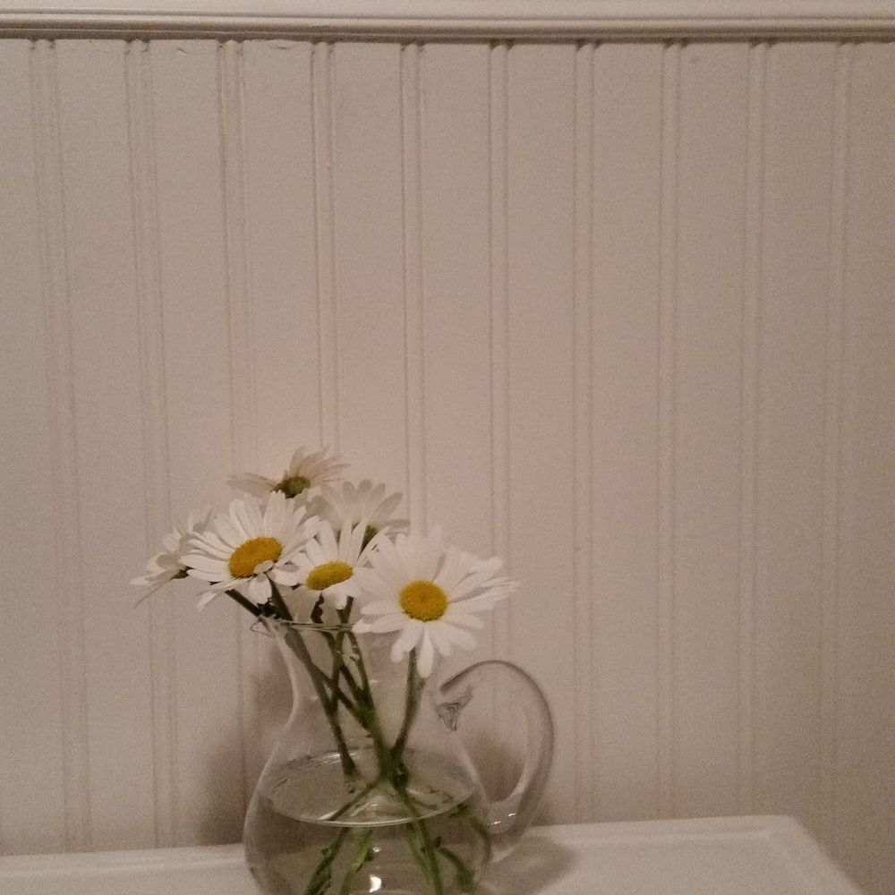 Meet your Posher, Ginger